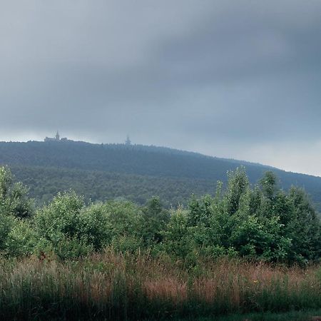 Willa Czarownica Nowa Slupia Kültér fotó